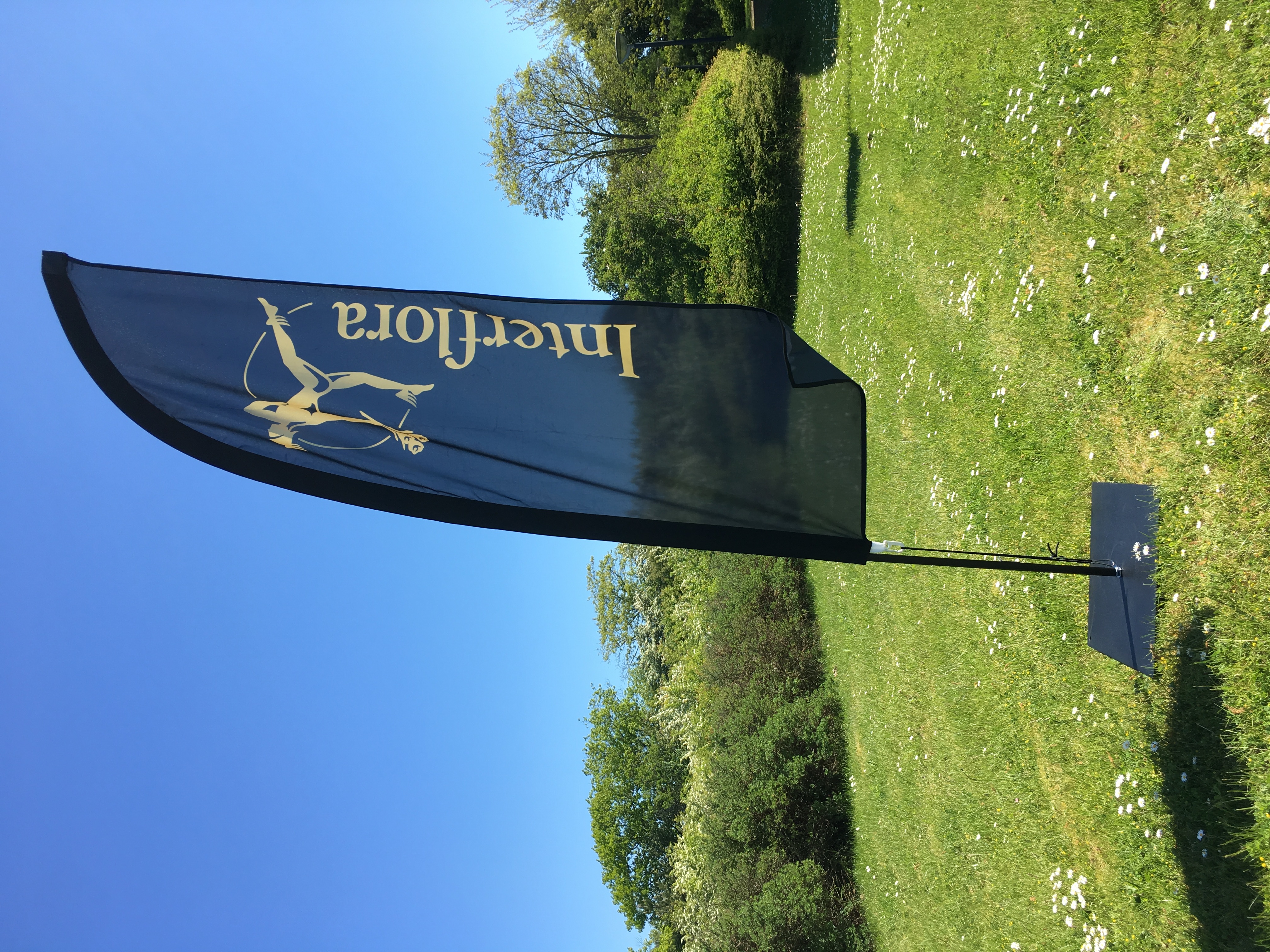 Beachflag – billede 7