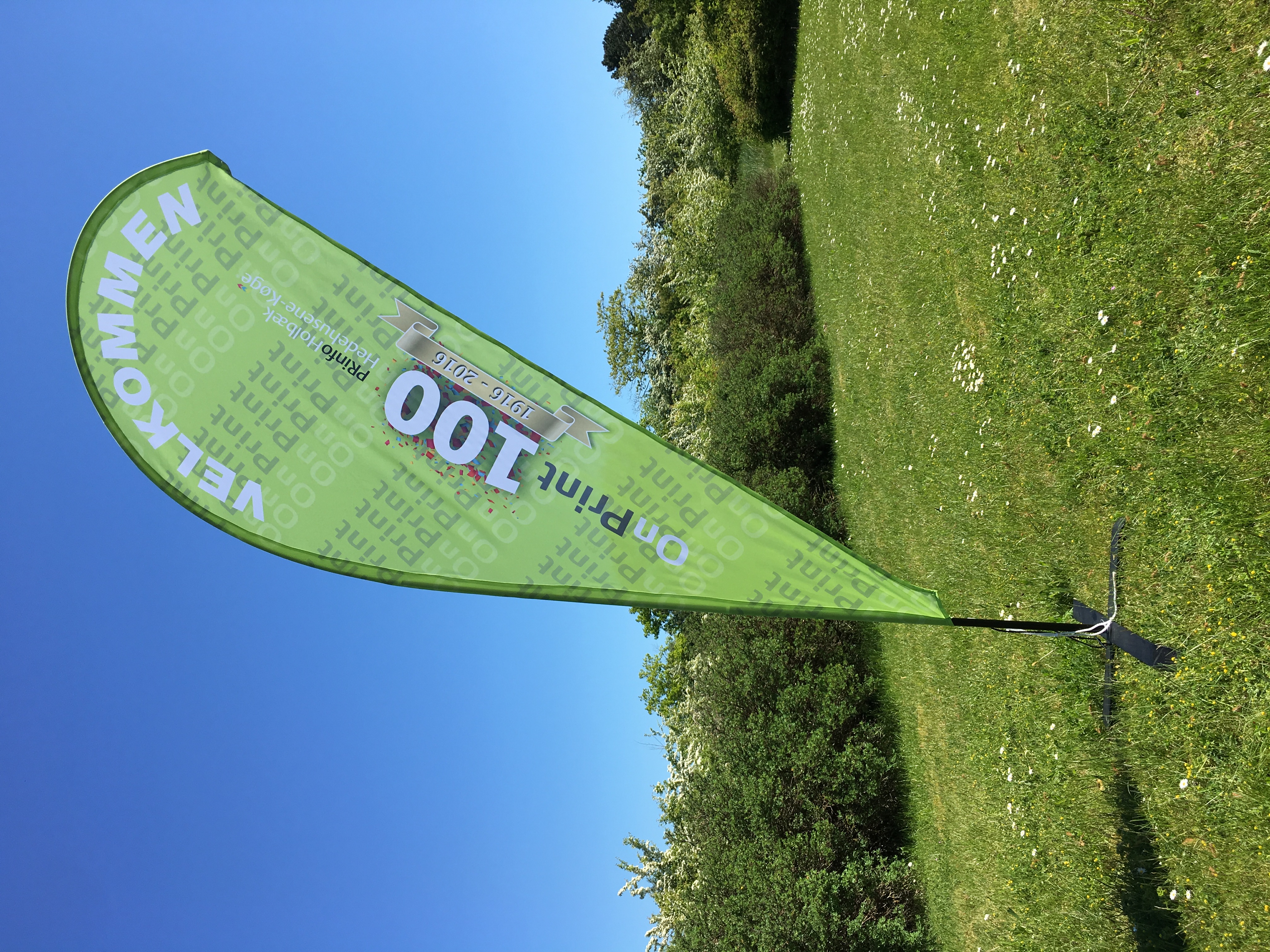 Beachflag – billede 8